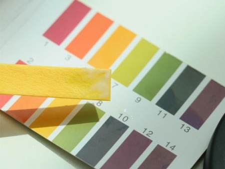 上海環境檢測咨詢服務有限公司 上海環境檢測咨詢服務有限公司