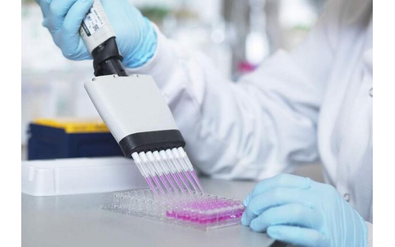 水質(zhì)檢測(cè)報(bào)告